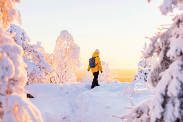 Jonge Vrouw Geniet Van Een Prachtig Uitzicht Het Winterbos Met — Stockfoto
