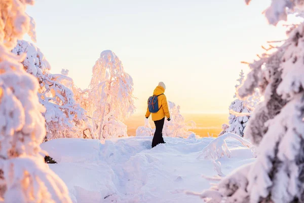 Jeune Femme Bénéficiant Une Vue Imprenable Sur Forêt Hiver Avec — Photo