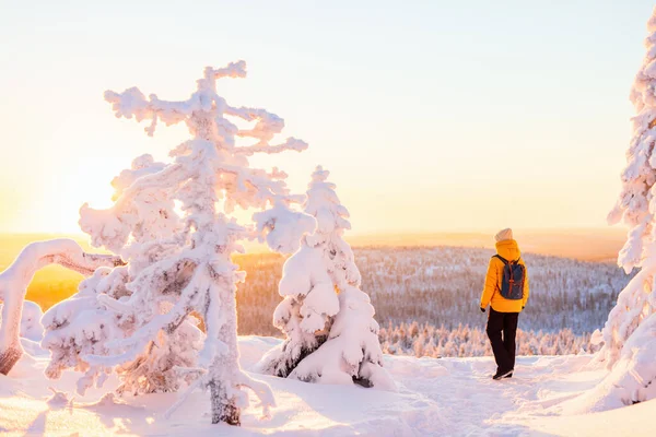 芬兰拉普兰 一位年轻女子在冰雪覆盖的冬季森林里欣赏着令人惊叹的美景 — 图库照片