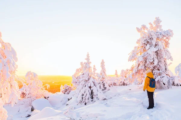 Jovem Desfrutando Uma Vista Deslumbrante Sobre Floresta Inverno Com Árvores — Fotografia de Stock