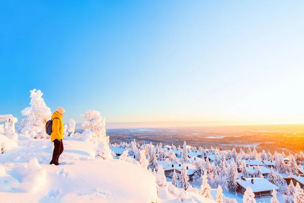 在芬兰拉普兰 年轻女子欣赏着冬季美景 雪覆树木 木屋林立 令人叹为观止 — 图库照片