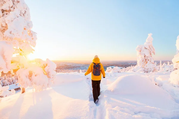 芬兰拉普兰 一位年轻女子在冰雪覆盖的冬季森林里欣赏着令人惊叹的美景 — 图库照片