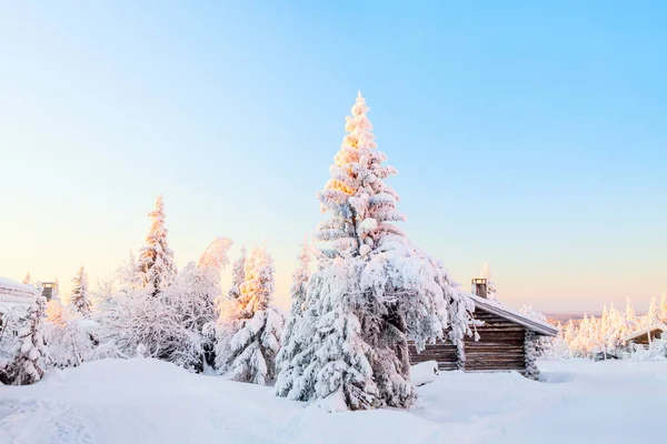 Linda Paisagem Inverno Com Cabana Madeira Árvores Cobertas Neve Lapônia — Fotografia de Stock