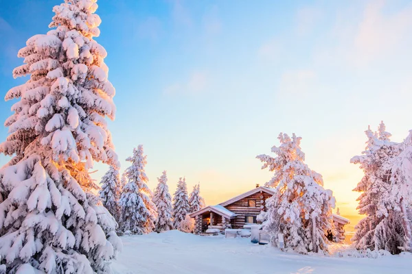 Hermoso Paisaje Invernal Con Cabaña Madera Árboles Cubiertos Nieve Laponia — Foto de Stock