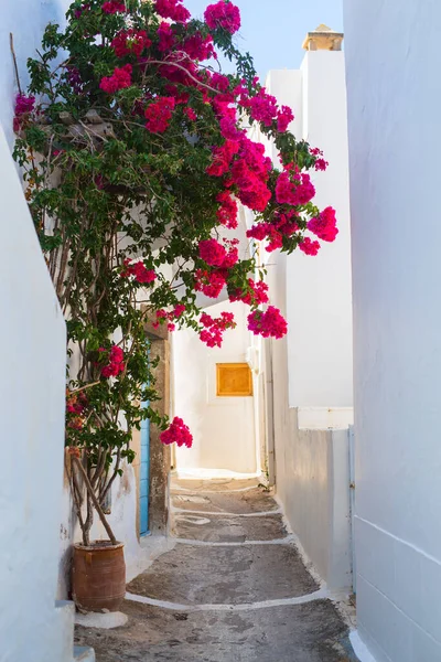 Prachtige Straat Oude Traditionele Griekse Cycladische Dorp Plaka Met Witte — Stockfoto