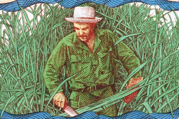 Ernesto Che Guevara