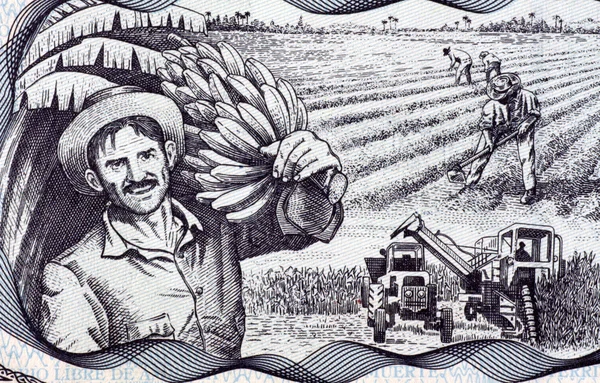 Scena agricolă — Fotografie, imagine de stoc