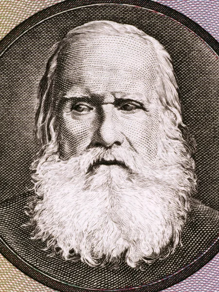 Pedro II do Brasil — Fotografia de Stock