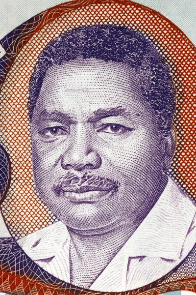 Ali Hassan Mwinyi — Foto de Stock