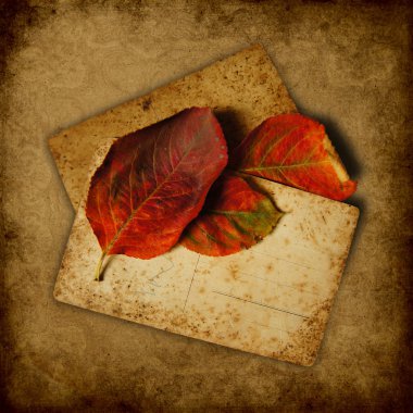 Grunge arka plan ile yığın eski kartpostallar