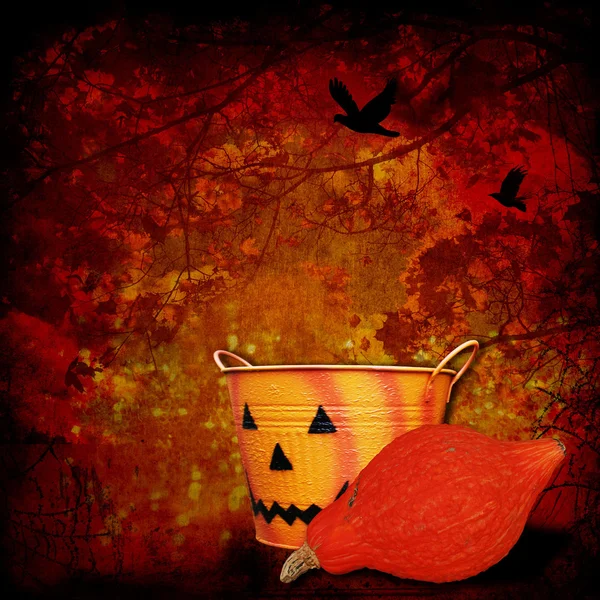 Halloween achtergrond met pompoenen — Stockfoto