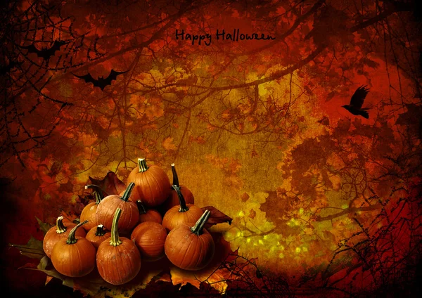 Halloween Hintergrund mit Kürbissen — Stockfoto