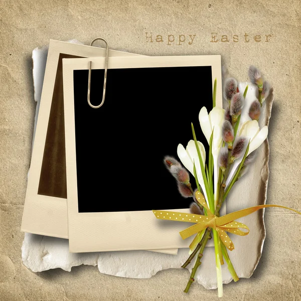 Vintage Easter card with polaroid-frame and pussy-willow — Stock Photo, Image