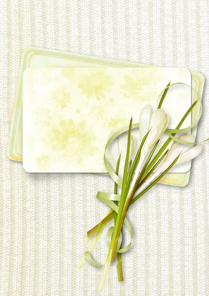 Frame and snowdrops — Stock Photo, Image