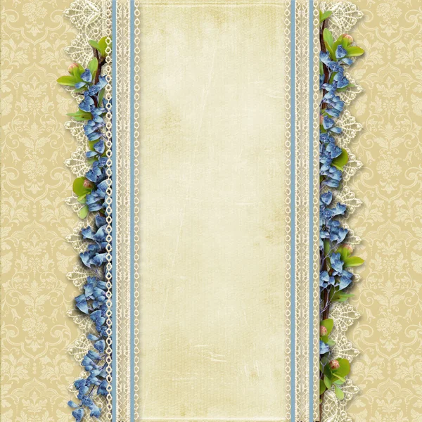 Винтаж превосходный фон с кружевом и синими цветами — стоковое фото