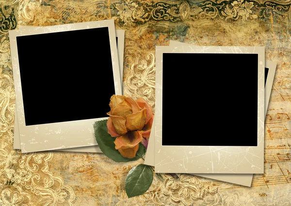 Grunge gorgeous background with a polaroid-frames and a rose — Stock Photo, Image