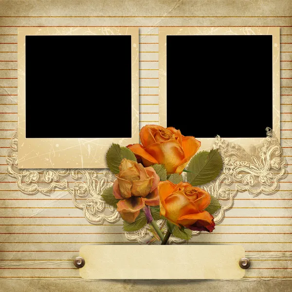 Fond magnifique vintage avec un cadre polaroïd et une rose — Photo