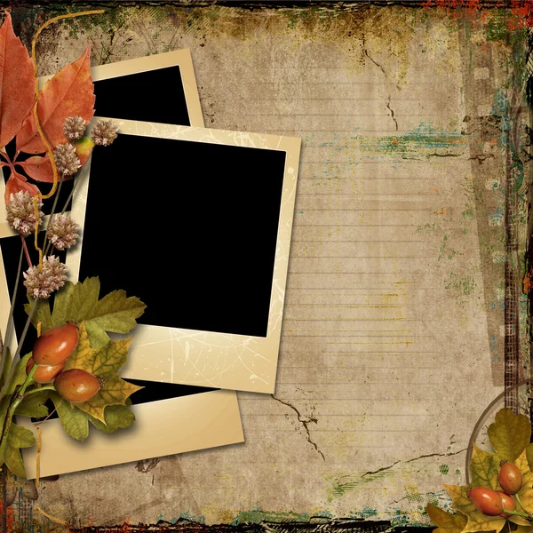 Grunge background with old postcards and autumn leaves — Stock Photo, Image