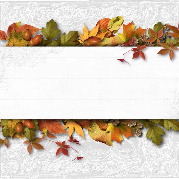 Herbstbanner mit Blättern — Stockfoto