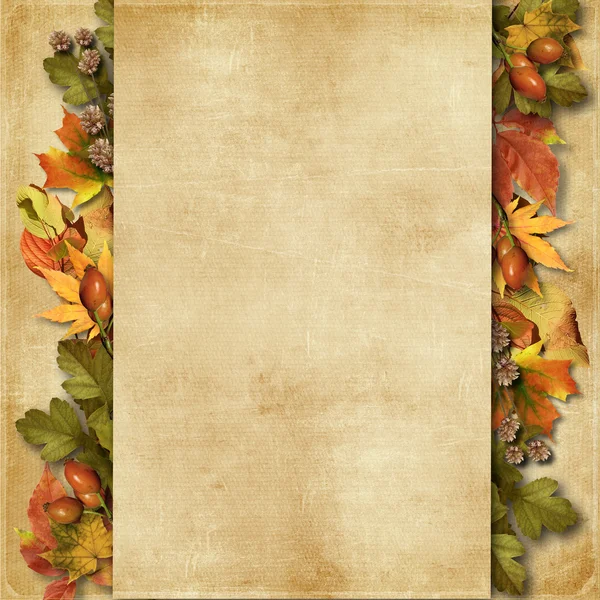 Grunge Hintergrund mit Herbstblättern — Stockfoto