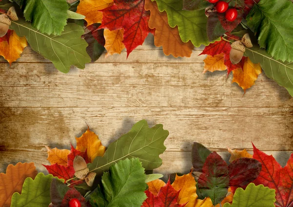 Autumn leaves over wooden background — Stock Photo, Image