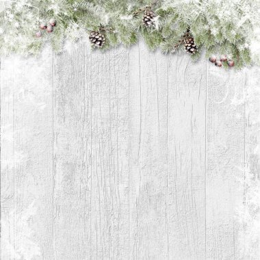 hristmas background. Snow firtree with cones and red berry on wooden white board. Greeting holiday card  clipart