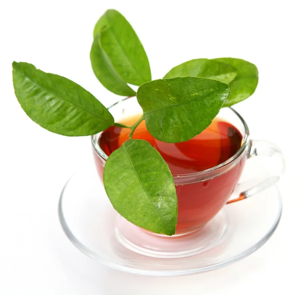 Mug with tea and a green leaf — Stock Photo, Image