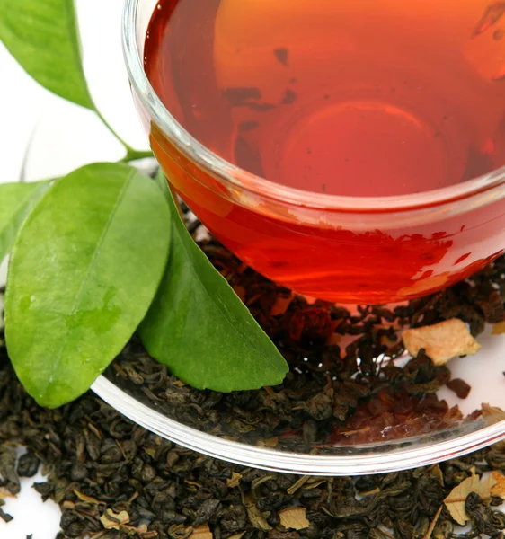Té y hoja verde — Foto de Stock