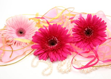 pembe çiçekler ve bantlar