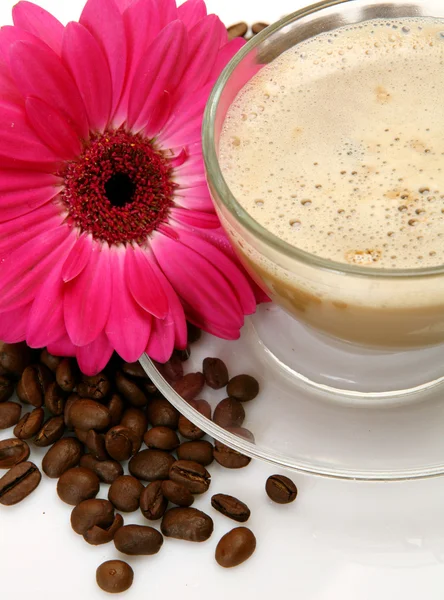 Xícara de café e flor — Fotografia de Stock