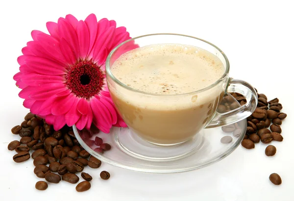 Cup of coffee and flower Royalty Free Stock Images