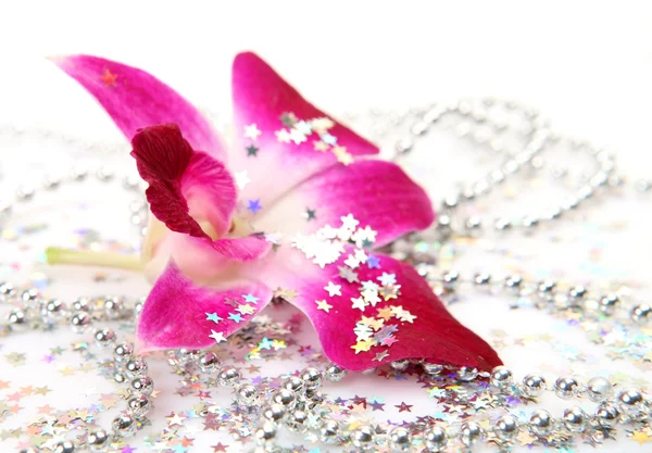 Anggrek merah muda — Stok Foto