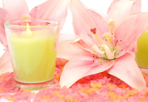 Pink lily and green candle — Stock Photo, Image