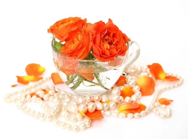 Rosen und Blütenblätter auf weißem Hintergrund — Stockfoto