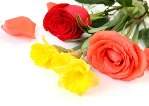 Fine roses and yellow narcissuses — Stock Photo, Image