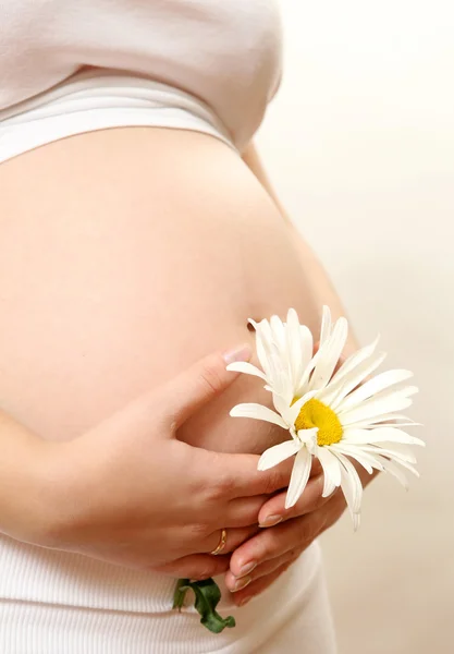 mide hamile bir kadının