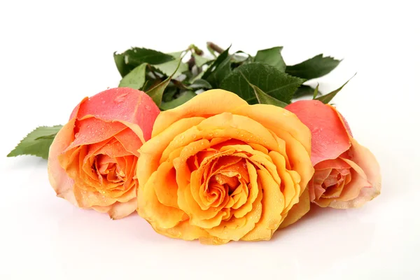 Bouquet of roses — Stock Photo, Image