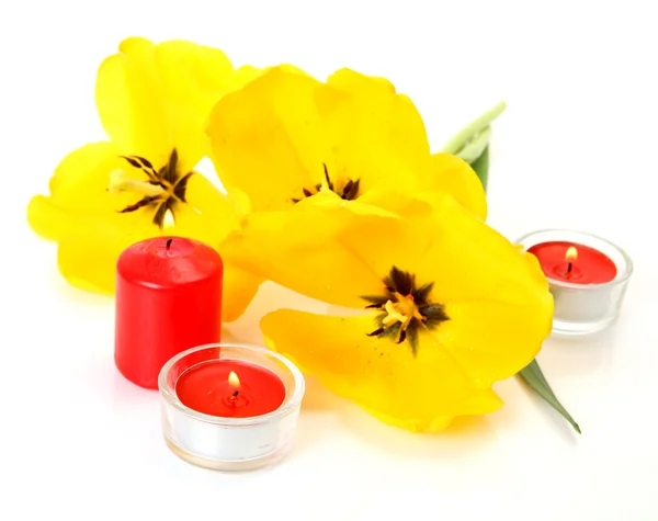 Желтые тюльпаны и свечи — стоковое фото