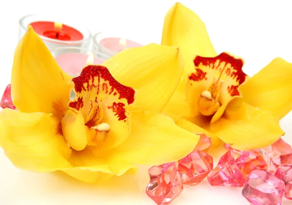 Желтые орхидеи и свечи — стоковое фото