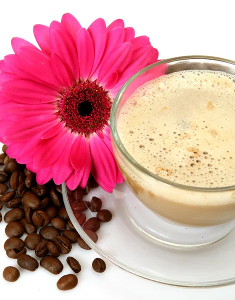 Coffee and pink flower — Stock Photo, Image