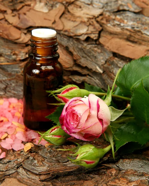 Öl und rosa Rose — Stockfoto