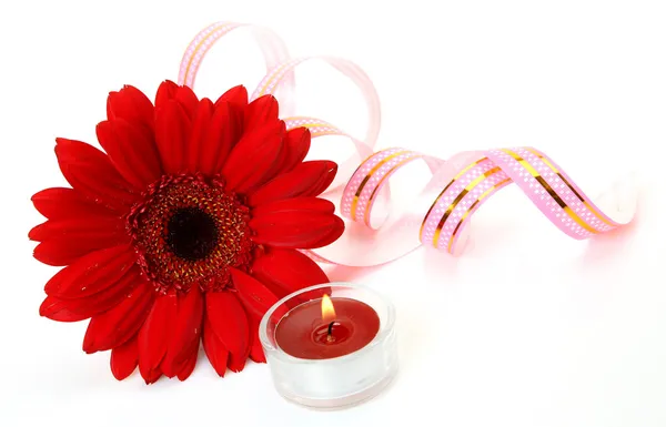 Fiore e candela — Foto Stock