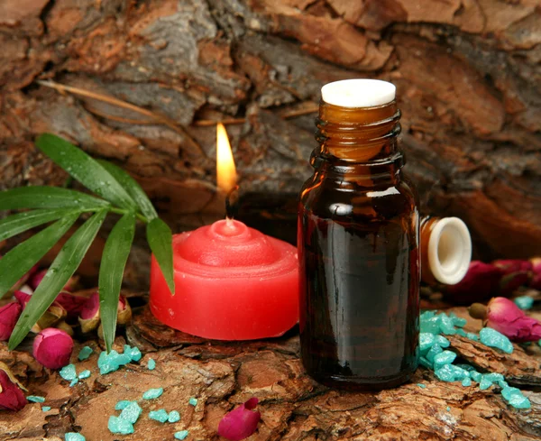 Aromatherapie, Wellness, Massage — Stockfoto