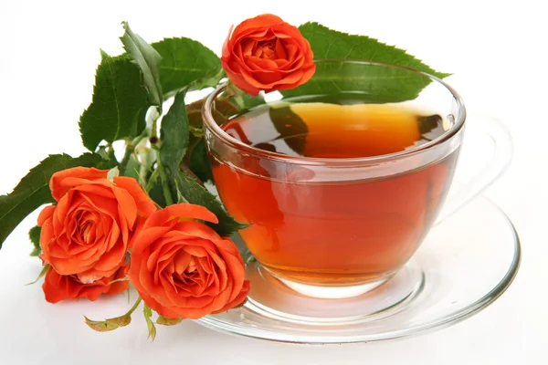 Tea and roses — Stock Photo, Image