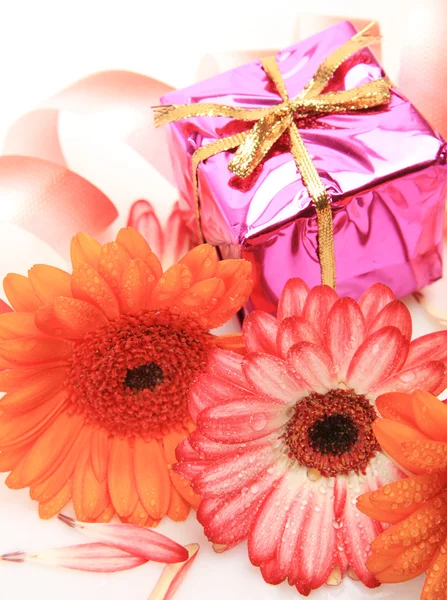 Gifts and flowers — Stock Photo, Image