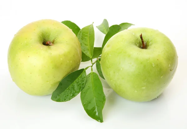 Green apples Stock Image