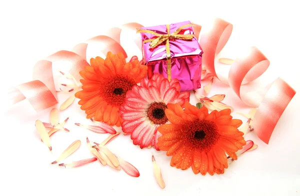 Geschenk und Blume — Stockfoto