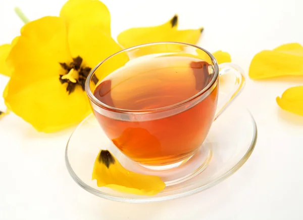 Té y tulipán amarillo — Foto de Stock