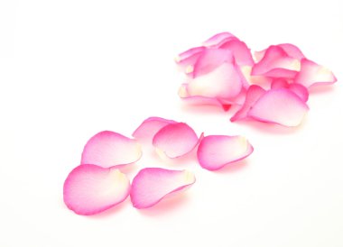 Pembe gül yaprakları