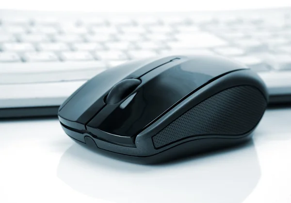 The computer mouse — Stock Photo, Image